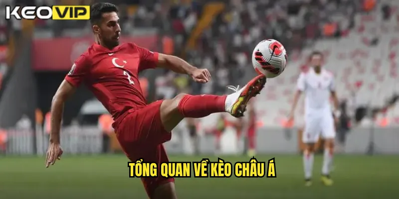 Tổng quan về kèo châu Á