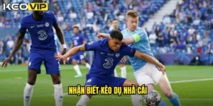 nhận biết kèo dụ nhà cái