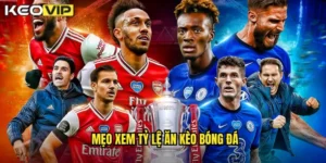 mẹo xem tỷ lệ ăn kèo bóng đá