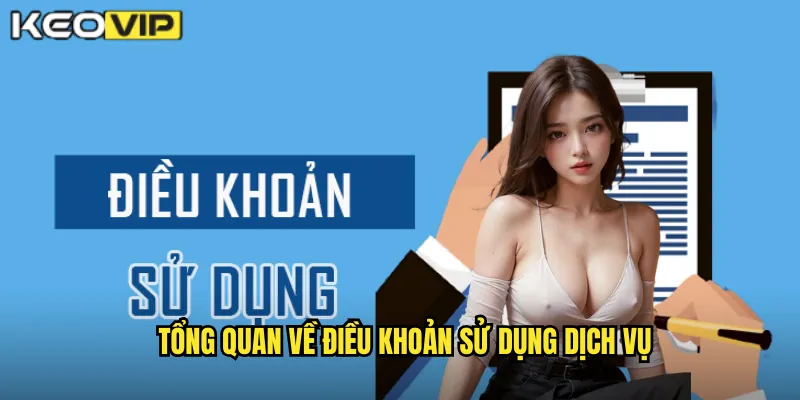 Tổng quan về điều khoản sử dụng dịch vụ