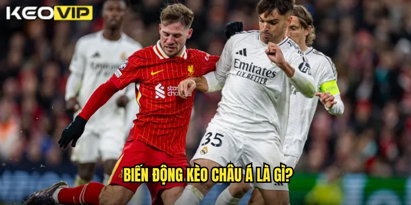 Biến Động Kèo Châu Á Là Gì?