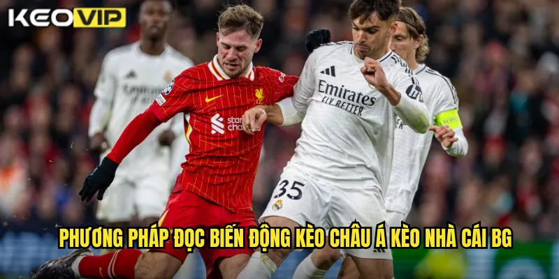 Phương Pháp Đọc Biến Động Kèo Châu Á Kèo Nhà Cái BG