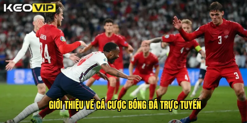 Giới thiệu về cá cược bóng đá trực tuyến