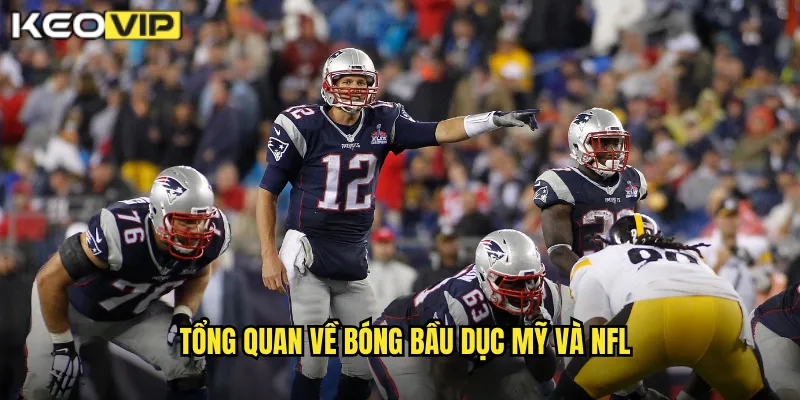 Tổng quan về bóng bầu dục Mỹ và NFL