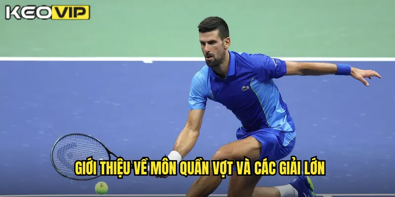 Giới thiệu về môn quần vợt và các giải lớn