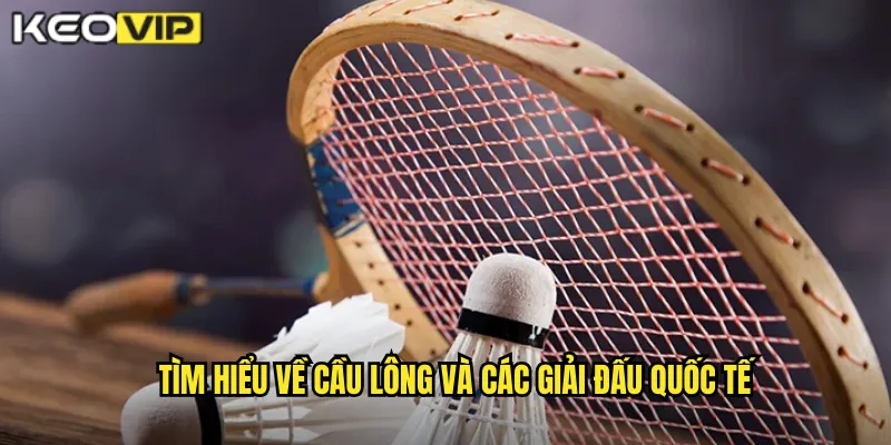 Tìm hiểu về cầu lông và các giải đấu quốc tế