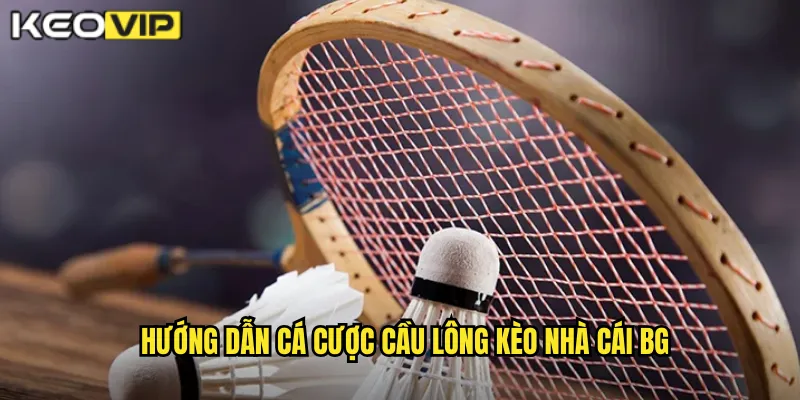 Hướng dẫn cá cược cầu lông kèo nhà cái bg
