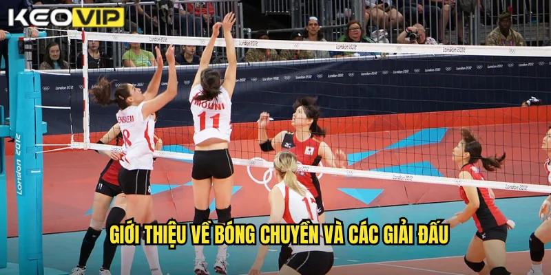 Giới thiệu về bóng chuyền và các giải đấu