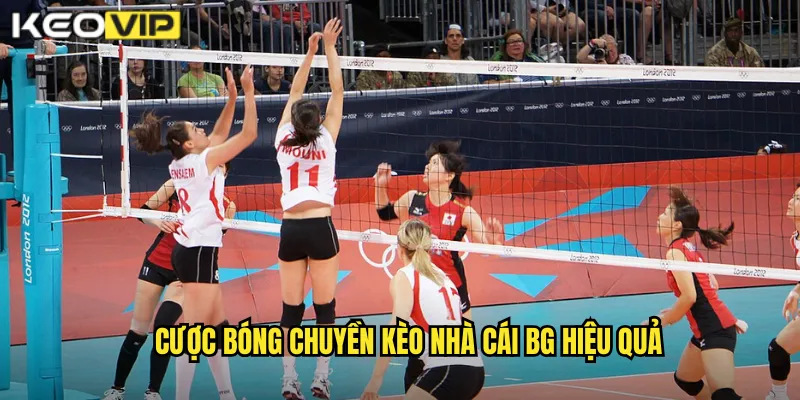 Cược bóng chuyền kèo nhà cái bg hiệu quả