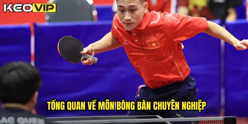 Tổng quan về môn bóng bàn chuyên nghiệp