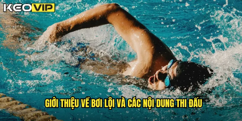 Bơi Lội Kèo Nhà Cái BG - Cá Cược Olympic Đầy Kịch Tính 1 Giới thiệu về bơi lội và các nội dung thi đấu