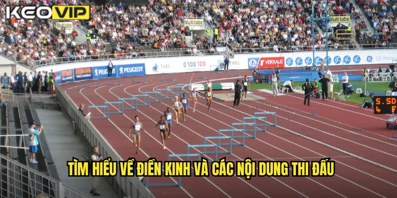 Tìm hiểu về điền kinh và các nội dung thi đấu