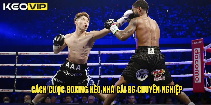 Boxing Kèo Nhà Cái BG - Đấm Bốc Đẳng Cấp Thế Giới 2 Cách cược boxing kèo nhà cái bg chuyên nghiệp