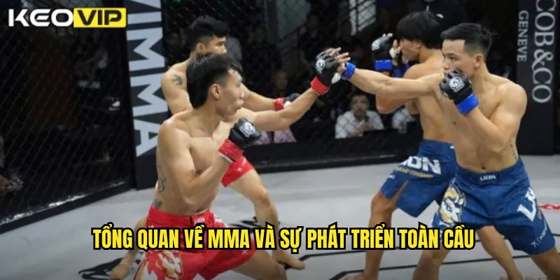 Tổng quan về MMA và sự phát triển toàn cầu