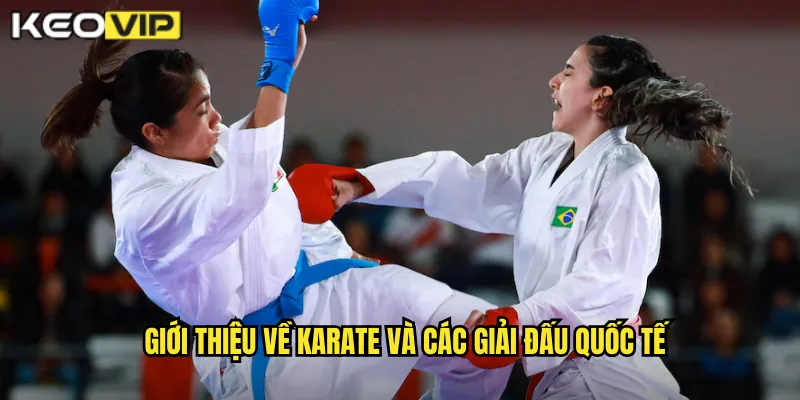 Giới thiệu về karate và các giải đấu quốc tế