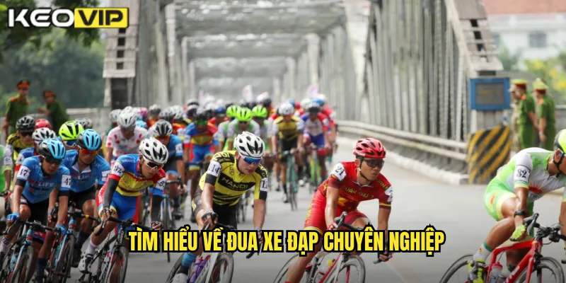 Tìm hiểu về đua xe đạp chuyên nghiệp