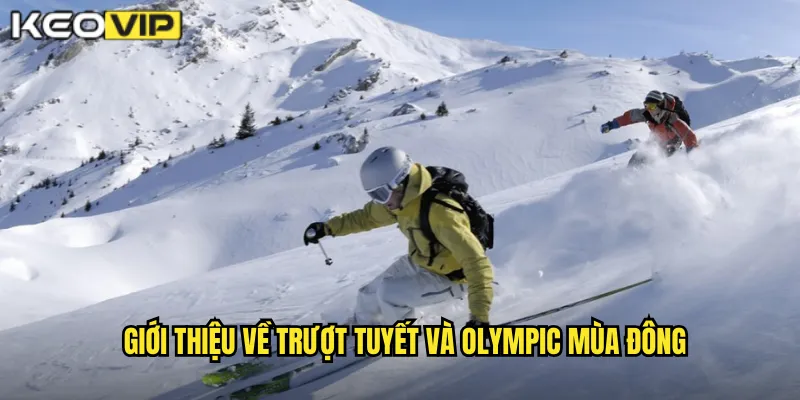 Giới thiệu về trượt tuyết và Olympic mùa đông