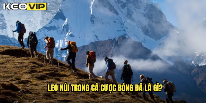 Leo núi trong cá cược bóng đá là gì?